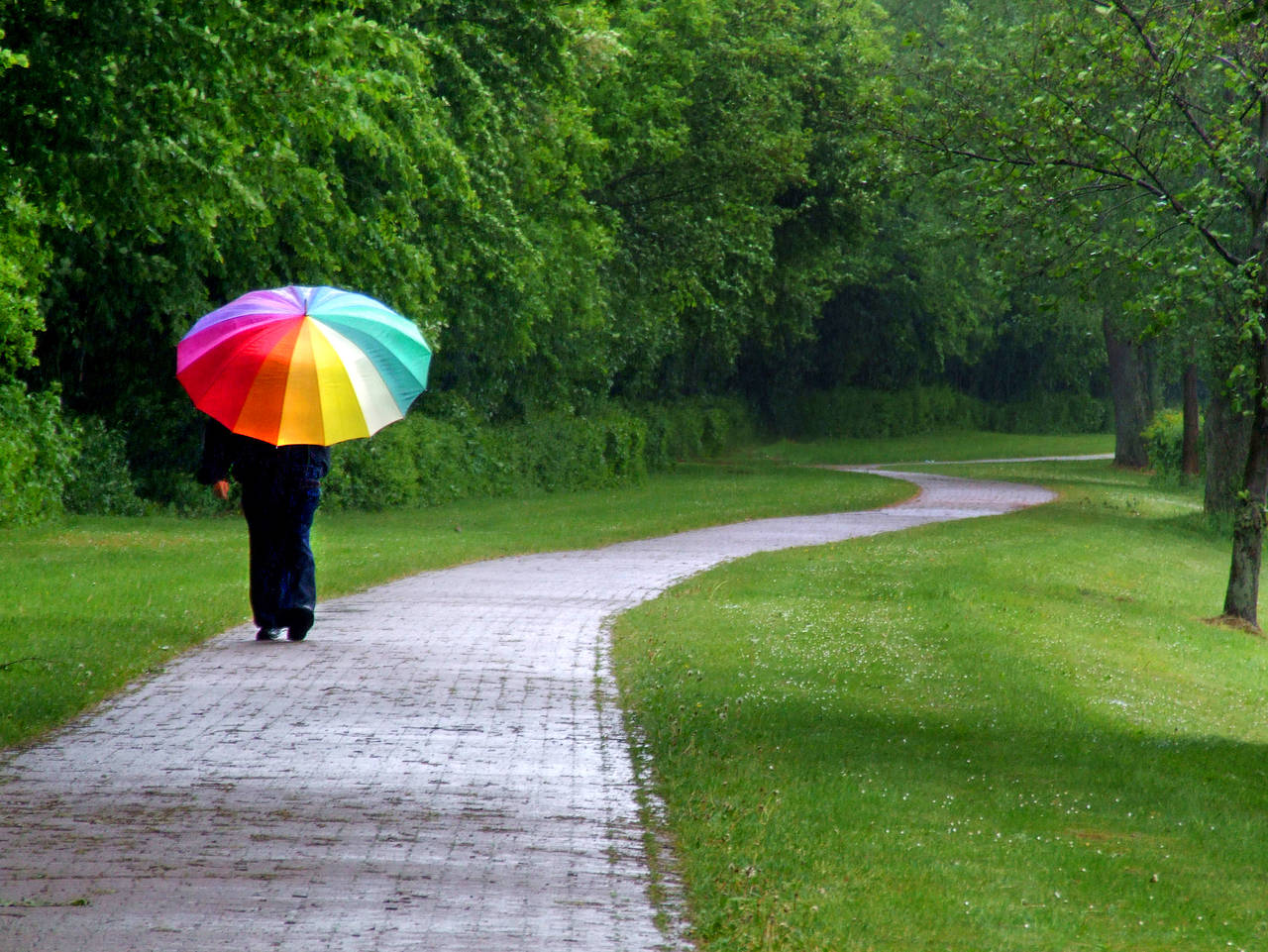 Foto Wettervorhersage - Stockholm